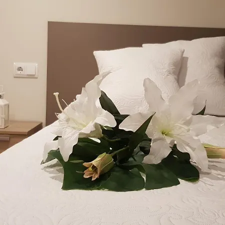 Apartment Fira *